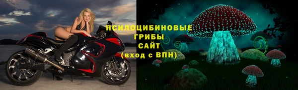 a pvp Верея
