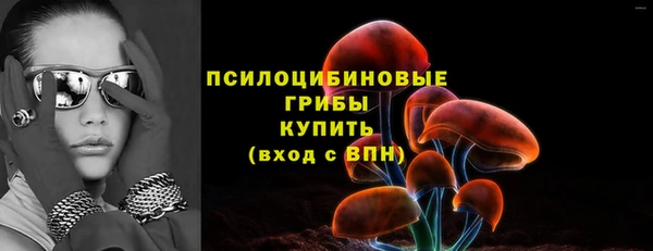 a pvp Верея