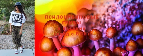 молекула духа Верхний Тагил