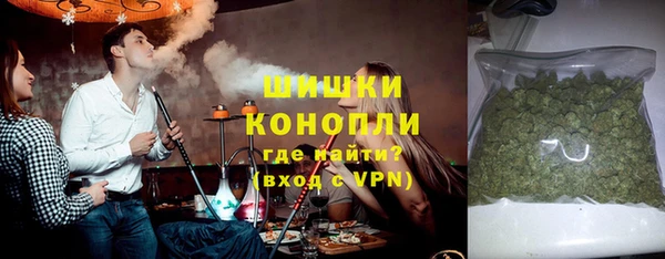 молекула духа Верхний Тагил