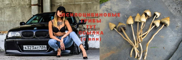 a pvp Верея